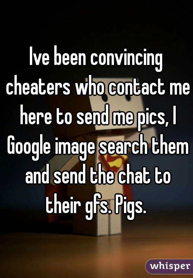 Ive been convincing cheaters who contact me here to send me pics, I Google image search them and send the chat to their gfs. Pigs. 