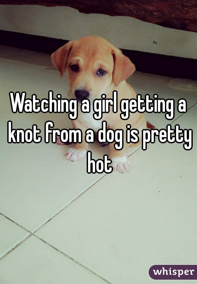 Watching a girl getting a knot from a dog is pretty hot