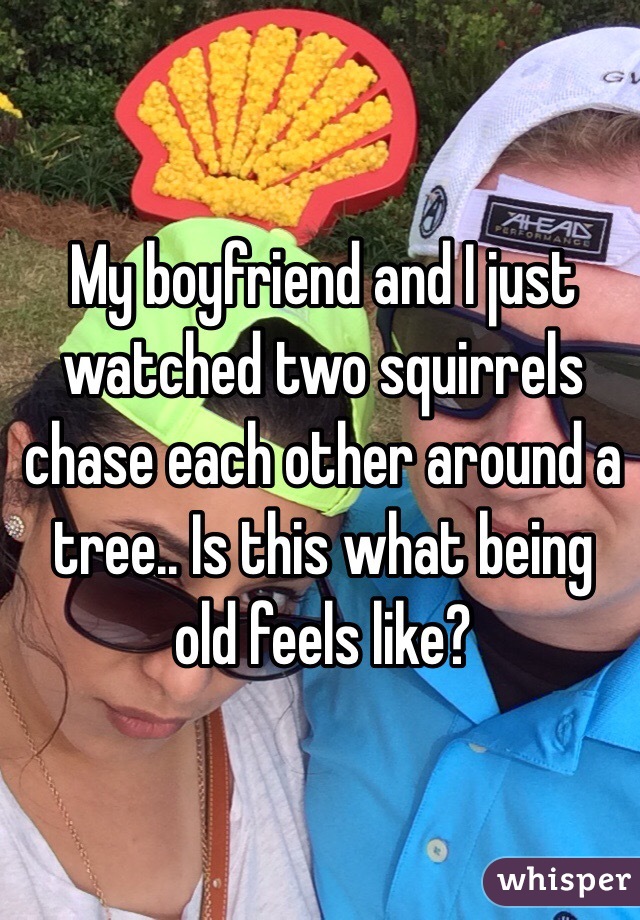 My boyfriend and I just watched two squirrels chase each other around a tree.. Is this what being old feels like?