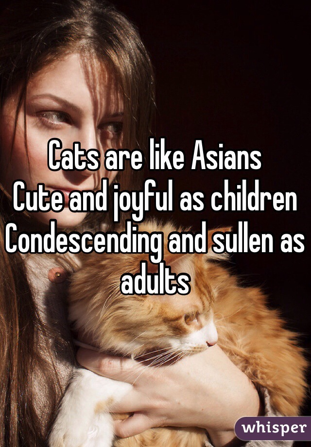 Cats are like Asians
Cute and joyful as children
Condescending and sullen as adults