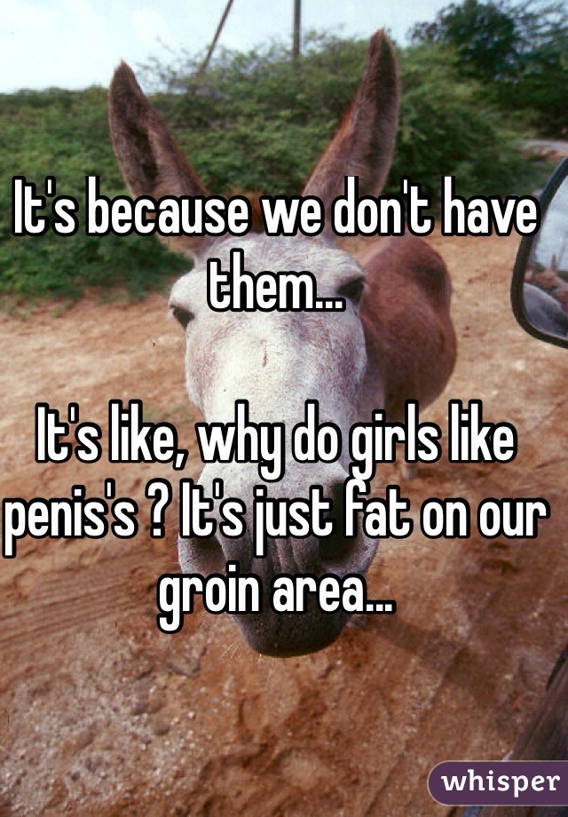 It's because we don't have them...

It's like, why do girls like penis's ? It's just fat on our groin area...


