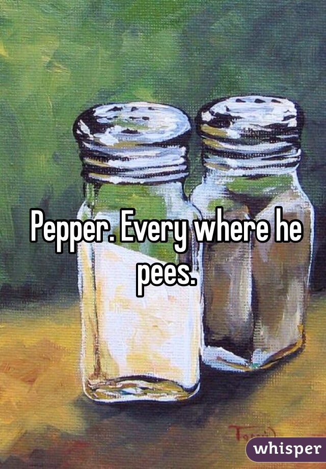 Pepper. Every where he pees. 