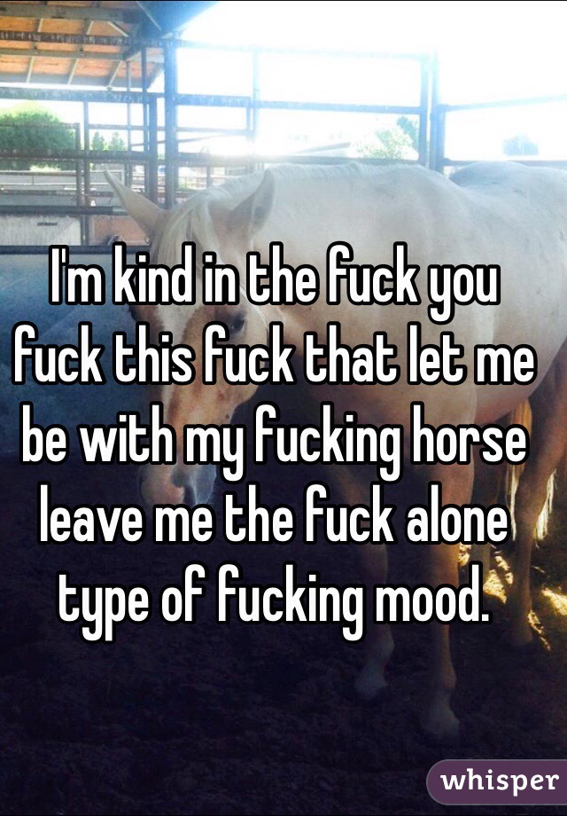 I'm kind in the fuck you fuck this fuck that let me be with my fucking horse leave me the fuck alone type of fucking mood. 