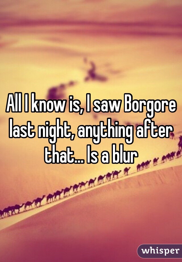 All I know is, I saw Borgore last night, anything after that... Is a blur 