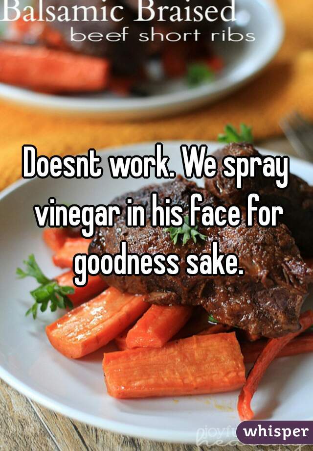 Doesnt work. We spray vinegar in his face for goodness sake.