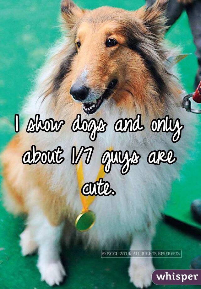 I show dogs and only about 1/7 guys are cute.