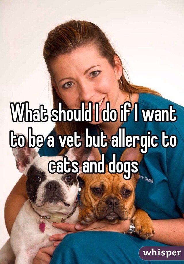 What should I do if I want to be a vet but allergic to cats and dogs