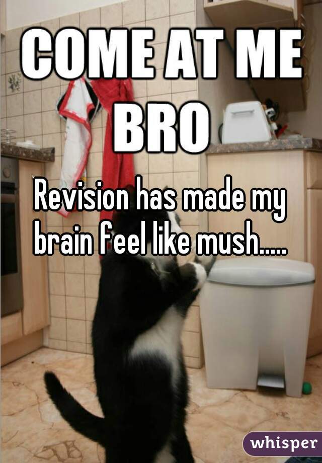 Revision has made my brain feel like mush..... 