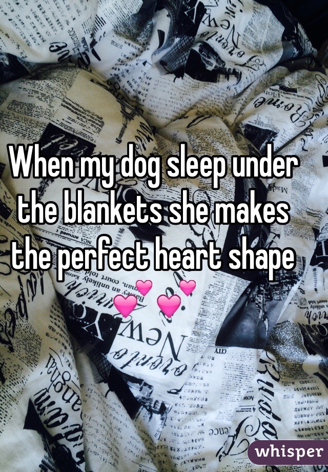 When my dog sleep under the blankets she makes the perfect heart shape 💕💕
