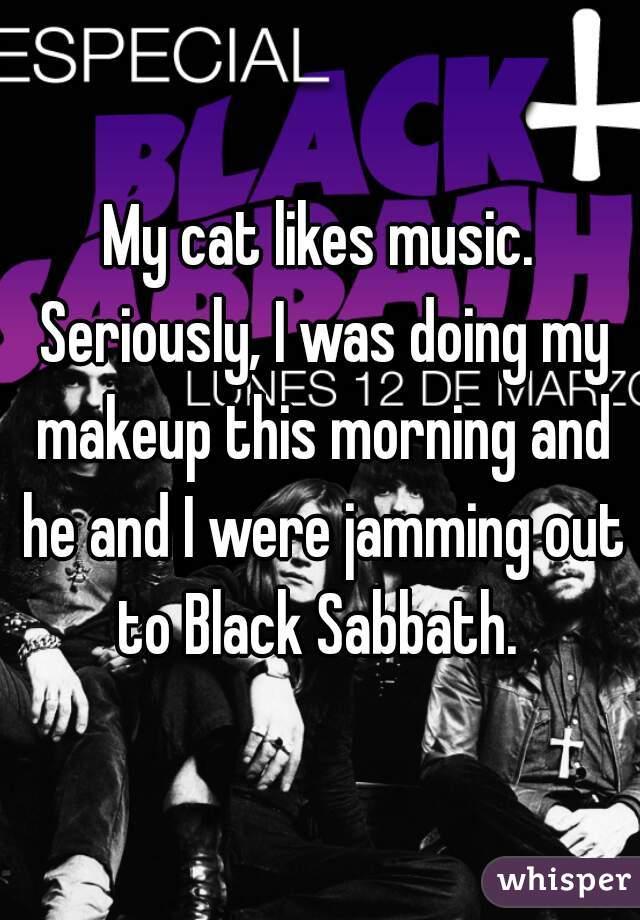 My cat likes music. Seriously, I was doing my makeup this morning and he and I were jamming out to Black Sabbath. 