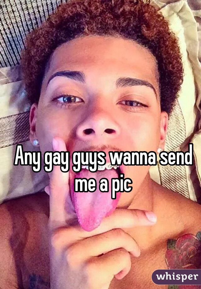 Any gay guys wanna send me a pic