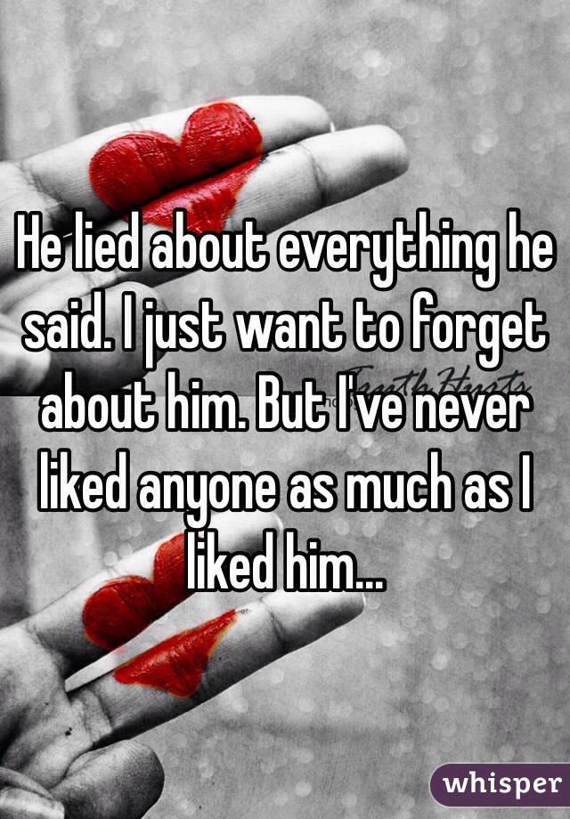 He lied about everything he said. I just want to forget about him. But I've never liked anyone as much as I liked him...