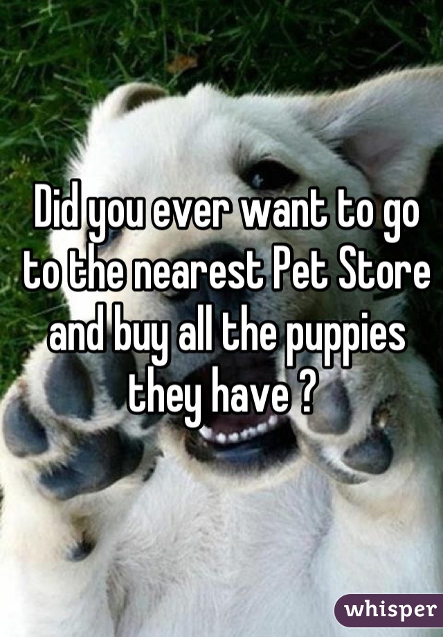 Did you ever want to go to the nearest Pet Store and buy all the puppies they have ? 