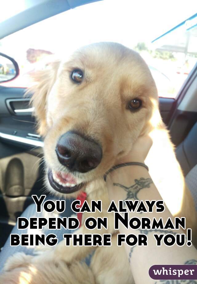 You can always depend on Norman being there for you!