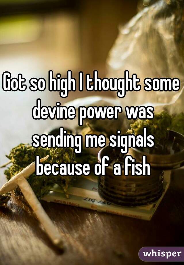 Got so high I thought some devine power was sending me signals because of a fish