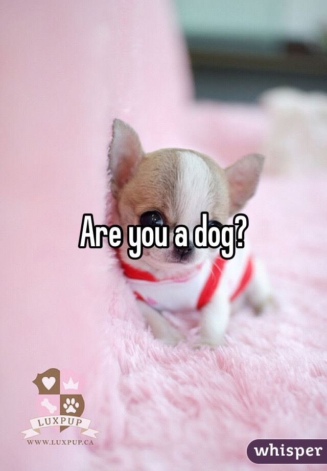 Are you a dog?