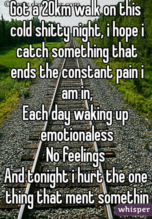 Got a 20km walk on this cold shitty night, i hope i catch something that ends the constant pain i am in,
Each day waking up emotionaless
No feelings
And tonight i hurt the one thing that ment somethin