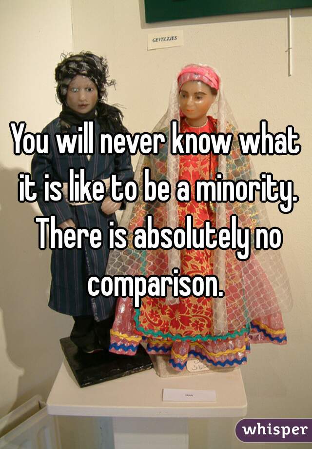 You will never know what it is like to be a minority. There is absolutely no comparison. 