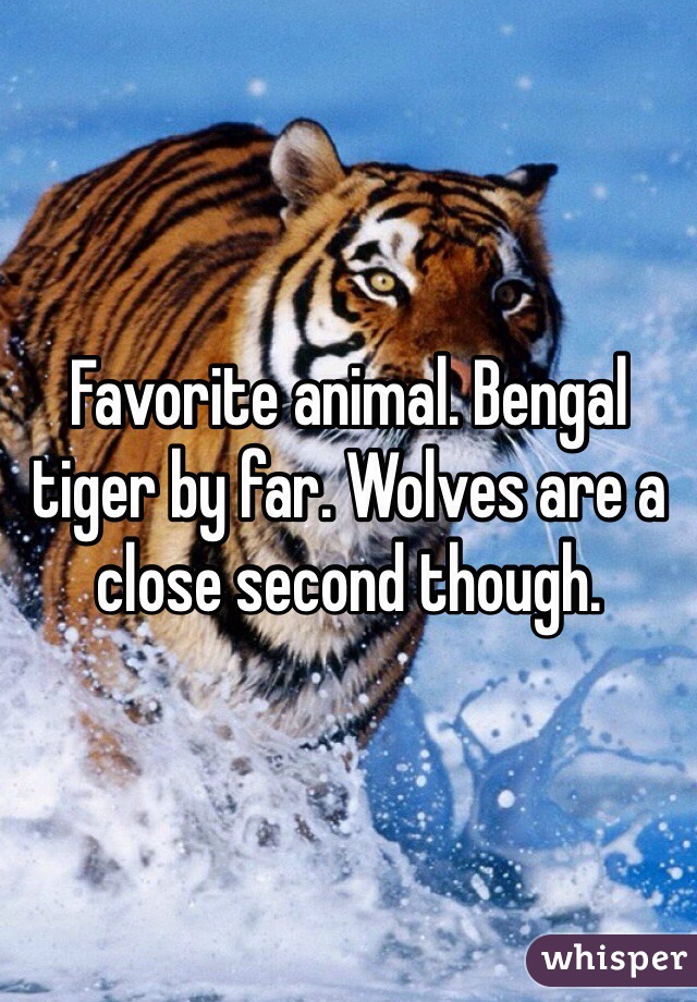 Favorite animal. Bengal tiger by far. Wolves are a close second though. 