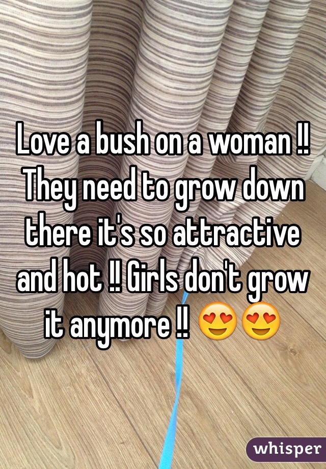 Love a bush on a woman !! They need to grow down there it's so attractive and hot !! Girls don't grow it anymore !! 😍😍