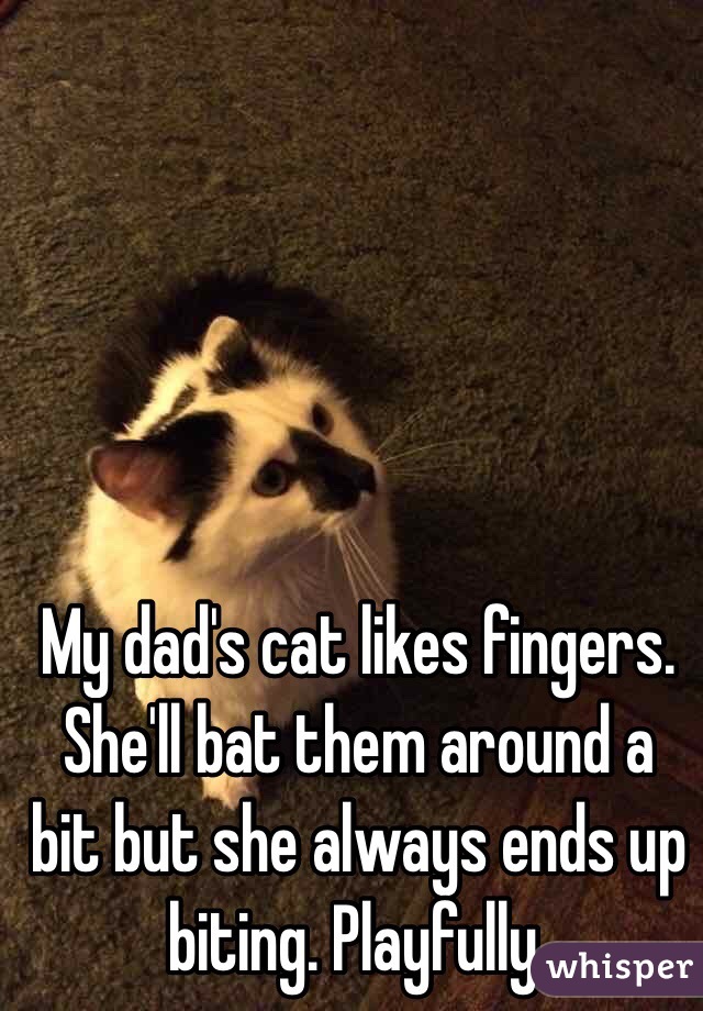 My dad's cat likes fingers. She'll bat them around a bit but she always ends up biting. Playfully. 