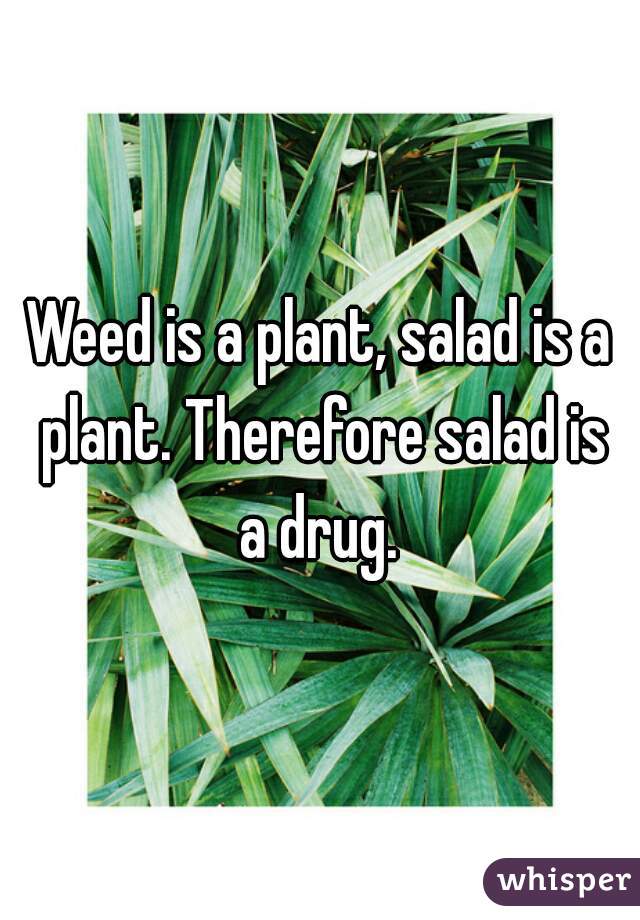 Weed is a plant, salad is a plant. Therefore salad is a drug. 