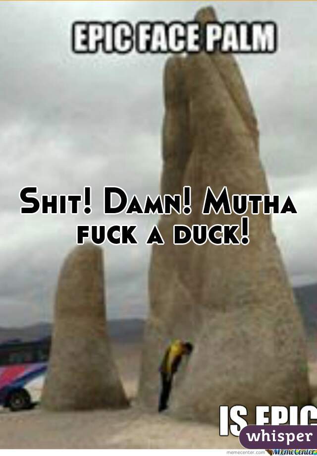 Shit! Damn! Mutha fuck a duck!