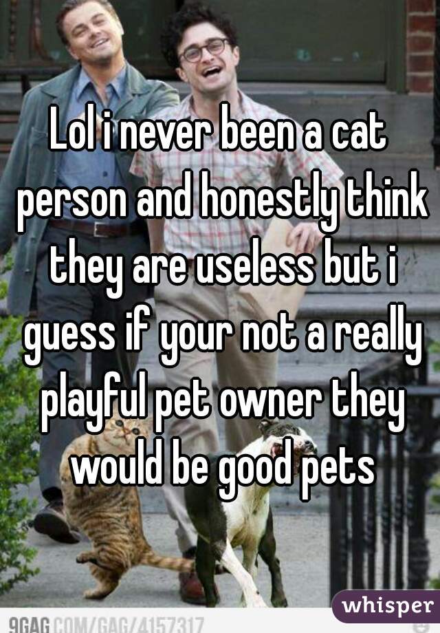 Lol i never been a cat person and honestly think they are useless but i guess if your not a really playful pet owner they would be good pets