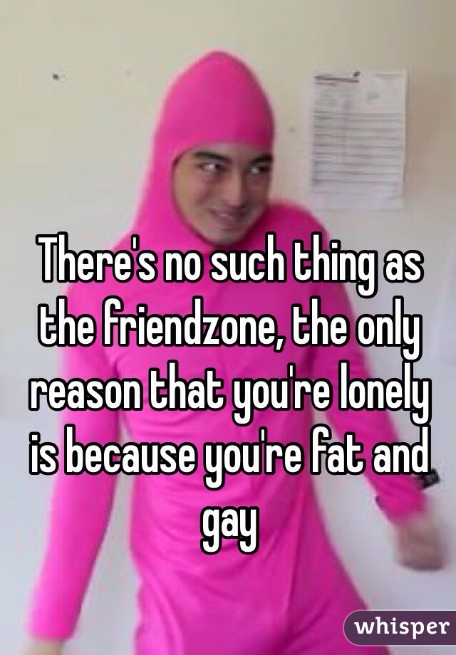There's no such thing as the friendzone, the only reason that you're lonely is because you're fat and gay 
