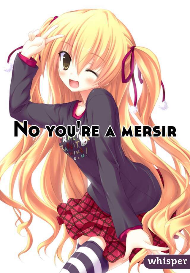 No you're a mersir