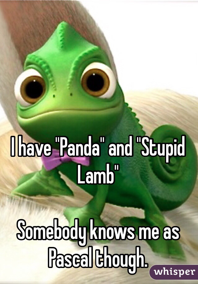 I have "Panda" and "Stupid Lamb"

Somebody knows me as Pascal though.