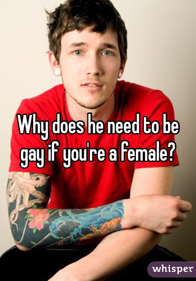 Why does he need to be gay if you're a female?