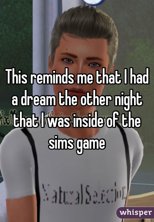 This reminds me that I had a dream the other night that I was inside of the sims game