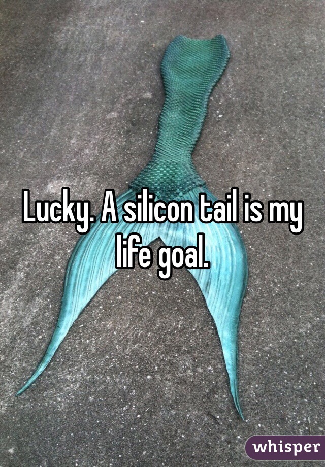 Lucky. A silicon tail is my life goal.