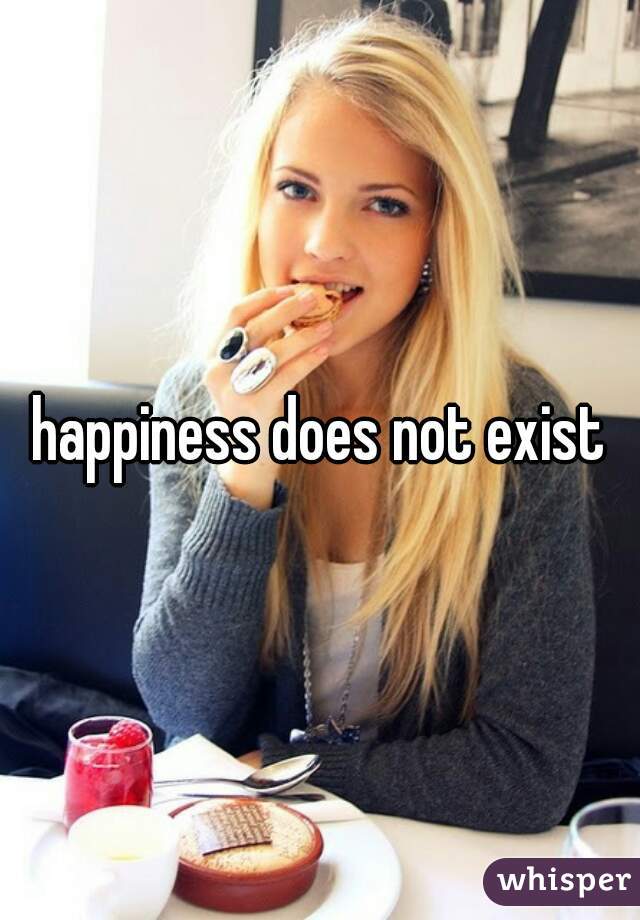 happiness does not exist