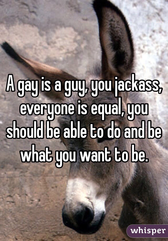 A gay is a guy, you jackass, everyone is equal, you should be able to do and be what you want to be. 