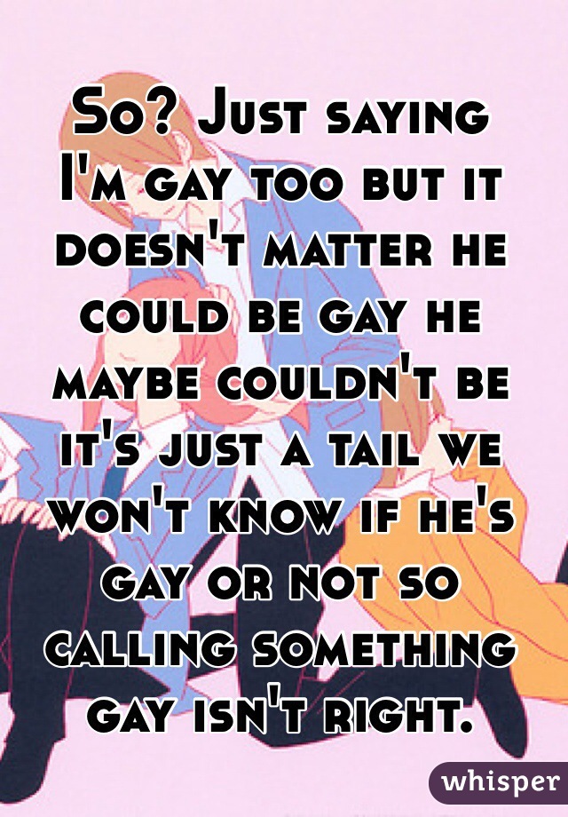 So? Just saying 
I'm gay too but it doesn't matter he could be gay he maybe couldn't be it's just a tail we won't know if he's gay or not so calling something gay isn't right.