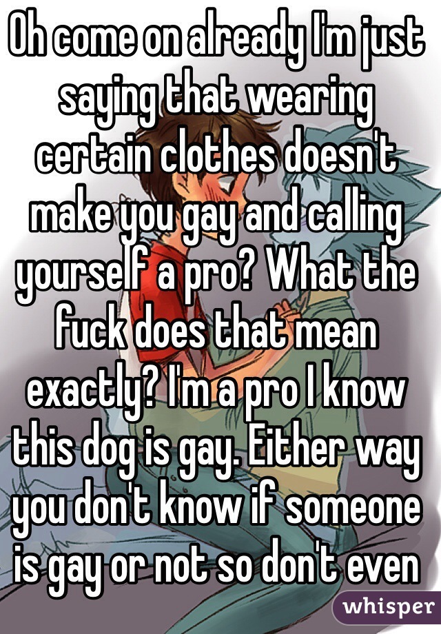 Oh come on already I'm just saying that wearing certain clothes doesn't make you gay and calling yourself a pro? What the fuck does that mean exactly? I'm a pro I know this dog is gay. Either way you don't know if someone is gay or not so don't even 