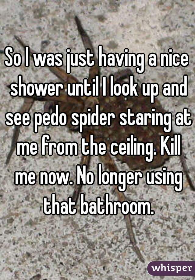 So I was just having a nice shower until I look up and see pedo spider staring at me from the ceiling. Kill me now. No longer using that bathroom.