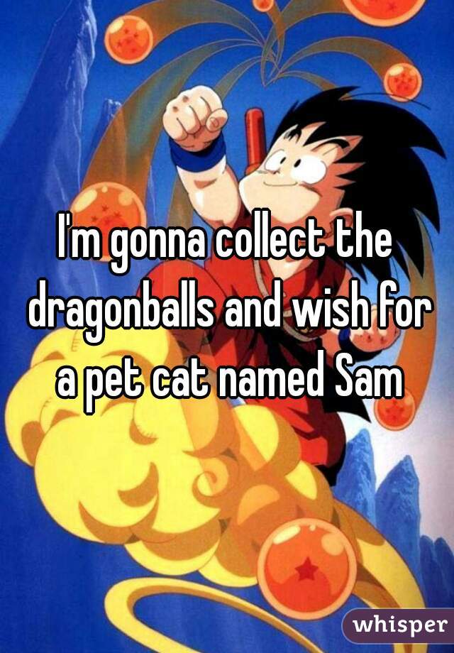 I'm gonna collect the dragonballs and wish for a pet cat named Sam