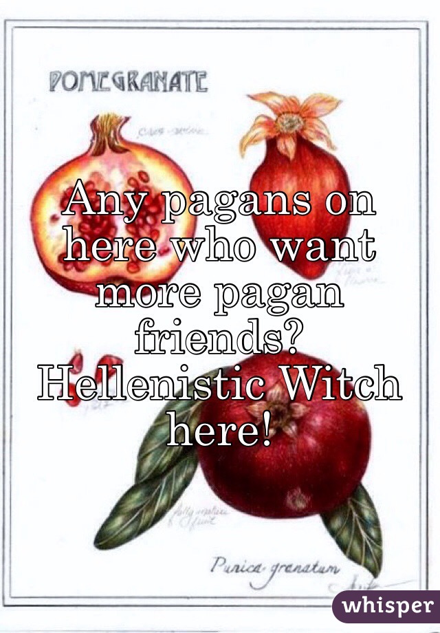 Any pagans on here who want more pagan friends? 
Hellenistic Witch here! 