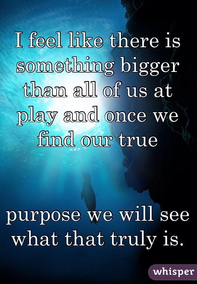 I feel like there is something bigger than all of us at play and once we find our true 


purpose we will see what that truly is.