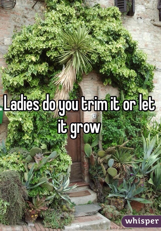 Ladies do you trim it or let it grow 