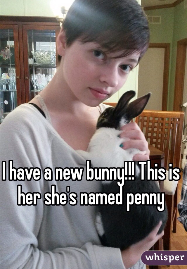 I have a new bunny!!! This is her she's named penny