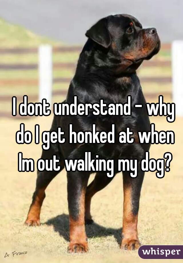 I dont understand - why do I get honked at when Im out walking my dog?
