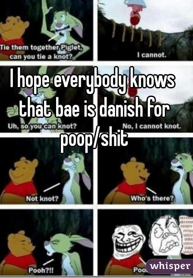 I hope everybody knows that bae is danish for poop/shit