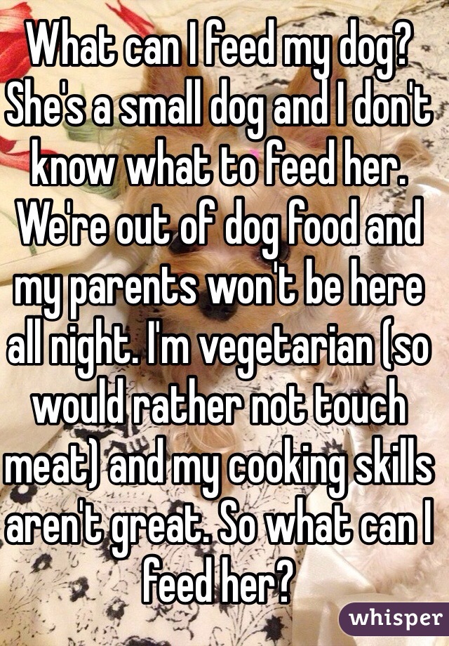What can I feed my dog?
She's a small dog and I don't know what to feed her. We're out of dog food and my parents won't be here all night. I'm vegetarian (so would rather not touch meat) and my cooking skills aren't great. So what can I feed her?