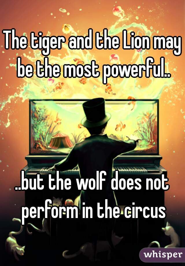 The tiger and the Lion may be the most powerful..



..but the wolf does not perform in the circus