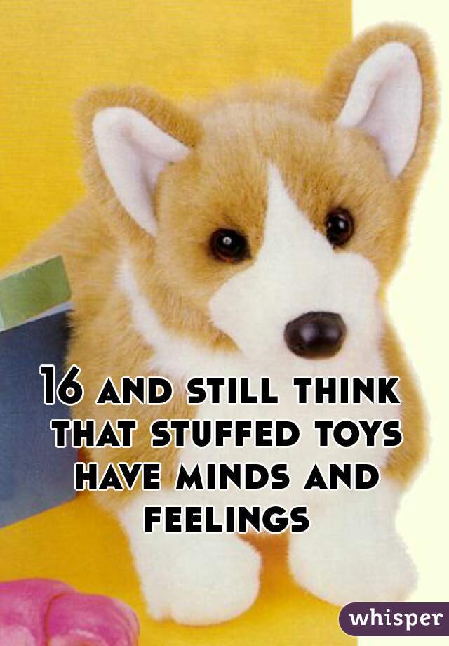 16 and still think that stuffed toys have minds and feelings