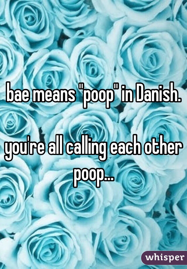 bae means "poop" in Danish.

you're all calling each other poop...